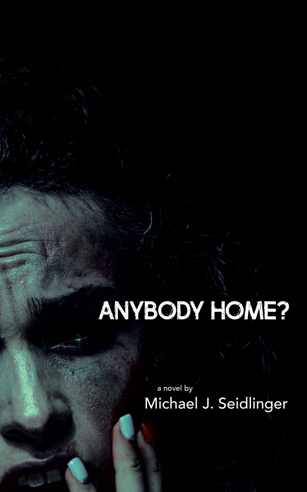 Anybody Home? By Michael J.&nbsp;Seidlinger