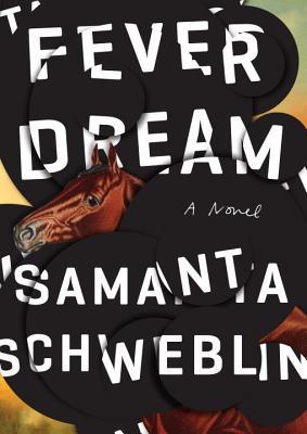 Fever Dream by Samanta&nbsp;Schweblin