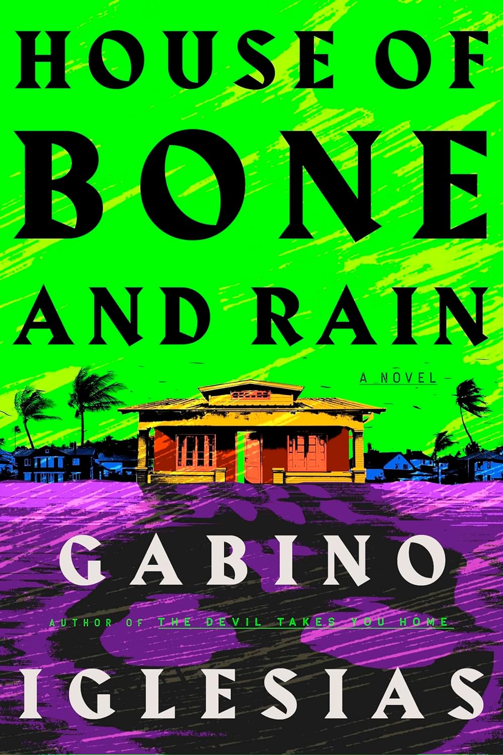 House of Bone and Rain by Gabino&nbsp;Iglesias