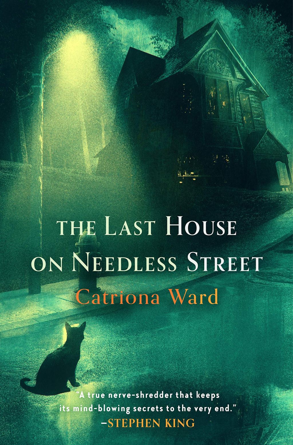 The Last House on Needless Street by Catriona&nbsp;Ward